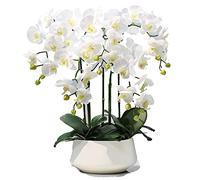 CHCWR Phalaenopsis Artificial con florero simulación Decorativa en Maceta Orquídeas Falsas Plantas Artificiales para la Sala de Estar Mesa de café Gabinete de televisión Decoración del hogar
