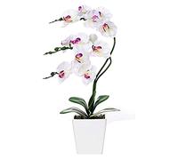 CHCWR Phalaenopsis artificial de 15 pulgadas con jarrón de porcelana para interiores, orquídeas de seda, plantas falsas en maceta, arreglos de flores sintéticas para sala de estar, centros de mesa