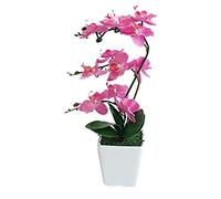 CHCWR Phalaenopsis artificial de 15 pulgadas con jarrón de porcelana para interiores, orquídeas de seda, plantas falsas en maceta, arreglos de flores sintéticas para sala de estar, centros de mesa