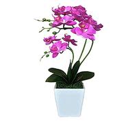 CHCWR Phalaenopsis artificial de 15 pulgadas con jarrón de porcelana para interiores, orquídeas de seda, plantas falsas en maceta, arreglos de flores sintéticas para sala de estar, centros de mesa