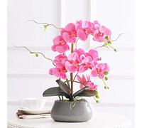 CHCWR Phalaenopsis Orchid Floral Arreglo en jarrón, orquídeas Falsas de Seda Flores Artificiales para el Interior de la Boda al Aire Libre Decoración de la Oficina en el hogar Festivo Festivo Festive