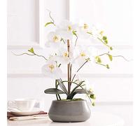 CHCWR Phalaenopsis Orchid Floral Arreglo en jarrón, orquídeas Falsas de Seda Flores Artificiales para el Interior de la Boda al Aire Libre Decoración de la Oficina en el hogar Festivo Festivo Festive