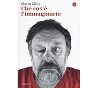 Che cos'è l'immaginario (La piccola cultura)