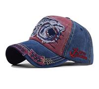 CheChury Gorra de béisbol para Hombre Ajustable de algodón Classic Gorra Bordado tiburón Vintage Unisex Verano molienda Borde Haga Viejo Sombrero