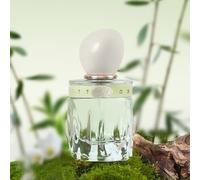 CHEERFLOR - Twilight Blossom Haze Series Perfume Limited Edition - 4 Flavors CFR1178 Amber Jasmine - 50ml