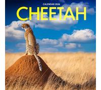 Cheetah 2026 Calendar: Wildlife Photography of Nature’s Fastest Big Cat