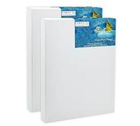 CHELY INTERMARKET MOD561 Lienzos Para Pintar 24x30 CM Pack 2 Unidades Bastidor Madera 37 MM Algodón Blanco Preimprimado Profesional Para Acrílico Óleo Manualidades Bellas Artes Artistas Aficionados