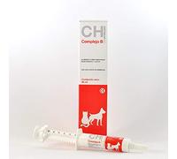 CHEMICAL IBERICA S.L. COMPLEJO B PASTA 30 ML (CH)