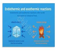 Chemical Reactions and Energy Poster Endothermic vs Exothermic Educational Science Wall Art for Study(Framed,08x12inch(20x30cm))
