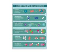 Chemical Reactions Chart Science Poster Chemistry Classroom Decor Educational Canvas Wall Art for Lab Study Room(Unframed,16x24inch(40x60cm))
