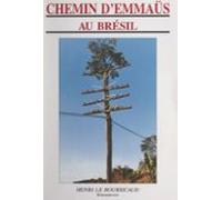 Chemin Demmaüs Au Brésil (ebook)