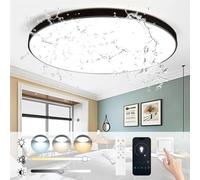 CHENBEN Plafon LED Techo, Regulable 3000K-6000K Lampara Techo 24W con Mando a Distancia y App 1600LM 32cm IP44 Lamparas de Techo Salon Dormitorio Cocina Pasillo Negro