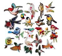 Chenkou Craft 20 parches bordados al azar para planchar o coser; diseño de pájaros carpinteros, colibríes, golondrinas, loro