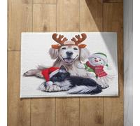Chenlane Divertidas y lindas alfombrillas para exteriores para baño de hielo al aire libre, gatos y perros, felpudo extra grande, antideslizante, limpiador de pies para ducha interior, 40 x 60 cm