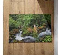 Chenlane Felpudo para puerta delantera, alfombra de baño para entrada interior, cascada, paisaje natural delante del baño, 45 x 75 cm