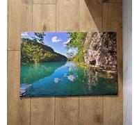 Chenlane Felpudos de animales antideslizantes para el suelo del baño y el inodoro, primavera, paisaje, exterior, grande, divertido, al aire libre, 50 x 80 cm