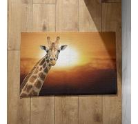 Chenlane Felpudos muy grandes para interiores, lavables, diseño de jirafa, atrapasuciedad, 40 x 60 cm