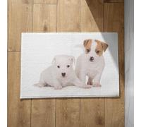 Chenlane Tapetes para puerta delante del baño, para entrada al aire libre, lavable, 50 x 80 cm
