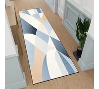 CHENMIAO Alfombra Pasillo Larga 50 x 270 cm Antideslizante Lavables en Lavadora Alfombra Grande Moderna, Distintos Tamaños para Dormitorio, Cocina, Baño, Pasillo, Garaje, C