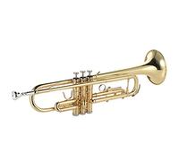 CHENTON Trompeta Bb Flat Latón Pintado Oro Exquisito Instrumento Musical con Boquilla Guantes Correa Estuche