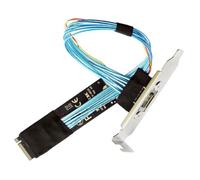 chenyang Oculink SFF-8612 a PCI-E 4.0 NVME M.2 M-Key Host - Adaptador de cable de extensión con ranura de 8/12 cm para tarjeta gráfica externa y SSD