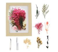 CHENYU Marco de Fotos 3D con Profundidad 20 x 16 cm para Flores Secas - Kit de Bricolaje con Pegamento y Clips - Ideal para Boda, Cumpleaños, Graduación