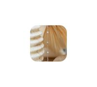 ChenYuTe Pulsera ajustable para mujer, juego de pulseras de cadena, un regalo de joyería sencillo y delicado para ella, ¡apto para llevar a diario!