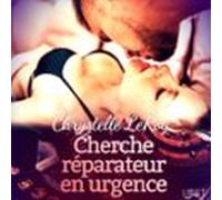 Cherche Réparateur En Urgence - Une Nouvelle Érotique (audiolibro)