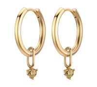 Chereda Pendientes de aro pequeños de oro para mujer, chapados en oro, con circonita cúbica, hipoalergénicos, para cartílago para hombre, talla única, Cobre, circonita, Sin piedra preciosa