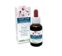 Cherry plum o Cerasífera (Prunus cerasifera) Flores emocionales o Flores de Bach Naturalma - Gotas 30 ml - Extracto hidroalcohólico líquido - Vegano - Fórmula original con Brandy