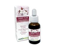 Cherry plum o Cerasífera (Prunus cerasifera) Remedios florales Naturalma - Gotas 30 ml - Extracto líquido sin alcohol - Esencias florales - Vegano y libre de alcohol