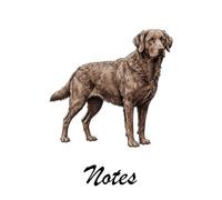 Chesapeake Bay Retriever