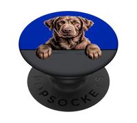 Chesapeake Bay Retriever, Divertido Amante de los Perros Chessie Que se asoma PopSockets PopGrip Adhesivo