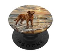 Chesapeake Bay Retriever Dog at The Beach Obra de Arte PopSockets PopGrip Adhesivo