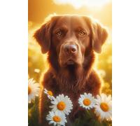 Chesapeake Bay Retriever face Notebook - Large 6 x 9 inches - 127 Pages