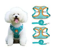 Chesoon Juego De Arnes para Perros Pequeños 2 Piezas Chaleco De Malla Transpirable Suave Tiras Reflectantes Equipo De Paseo para Cachorros S 4,4-6,6lb / 2,0-3,0kg Azul