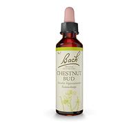 Chestnut Bud - Gotas de agua para baño (20 ml)