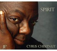 Chestnut Cyrus - Spirit
