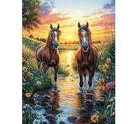 Chevaux Dans le ruisseau au Coucher de Soleil Puzzle 1000 Piezas Papel Adolescentes Mitos Cuento de Hadas Actividad Días Libres Actividad Mente Colección Rompecabezas Regalo Creativo