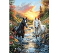 Chevaux Dans le ruisseau au Coucher de Soleil Puzzle 300 Piezas Cartón Blanco Premium para Expertos Mitos Animal Planta Actividad Compartir Familia Desarrollo Cognitivo Garantía Satisfacción 300 PCS