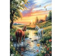 Chevaux Dans le ruisseau au Coucher de Soleil Rompecabezas 500 Piezas Cartón Grueso para Parejas Mitos fantásticos Desarrollo Habilidades Pieza Decorativa Casa Pack Completo Regalo Cumpleaños 500 PCS