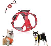 Chewie Cozy Harness,Getchewie Dog Harness,2025 New no Pull Dog,with Leash Set,Y-Shaped Design Choke Free,with a Sturdy Metal D-Ring,Reflective Adjustable Comfortable Pet Chest (Red,L)