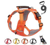 Chewie Cozy Harness, Reflective Adjustable Comfortable Pet Chest, XS/S/M/L/XL-Chewie No Pull Dog Harness with Leash Set For Small Medium Large Dogs (Orange,L)
