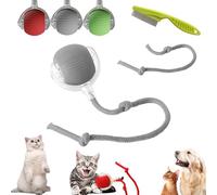 Chewie Interactive Rolling Dog Ball, Chase Mate Cat Toy, Smart Cat Toy Ball, Automatic Rolling Ball For Dogs, Interactive Dog Cat Smart Ball Toy, For Bored Indoor (Grey-C)