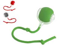Chewie Viral Rolling Ball, Chewy Viral Rolling Ball, Interactive Cat Toys Rolling Ball Chewie Viral Dog Ball, Self Rolling Dog Ball Interactive Cat Toys for Large Small Dogs Motion Activated (C)