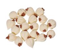 CHGCRAFT 20 piezas de ajos artificiales en miniatura de resina de ajo, modelos realistas, vegetales artificiales para fiestas, suministros de otoño, granja, restaurante