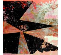 Chicago Underground Duo - Locus