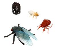 CHICAMPERA Figuritas de Cicada para Aprendizaje Educativo de Estatuillas Realistas del Ciclo de Juguetes de para Rellenos de Bolsas de