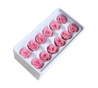 CHICAMPERA Rosas Inmortales 12 Piezas Caja Cabezas 3-4 CM Flores Preservadas para Accesorios y Centros de Mesa en Bodas