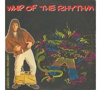 Chicco Secci Project - Whip Of The Rhythm